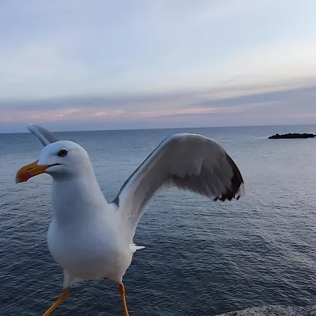 Vocetta Vista Mare