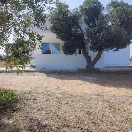 Vocetta Vista Mare